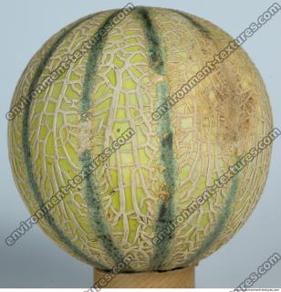 Melon Galia 0005